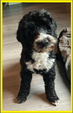 Personalised hooded sweatshirt