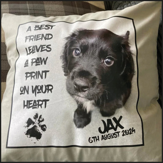 Memory cushions